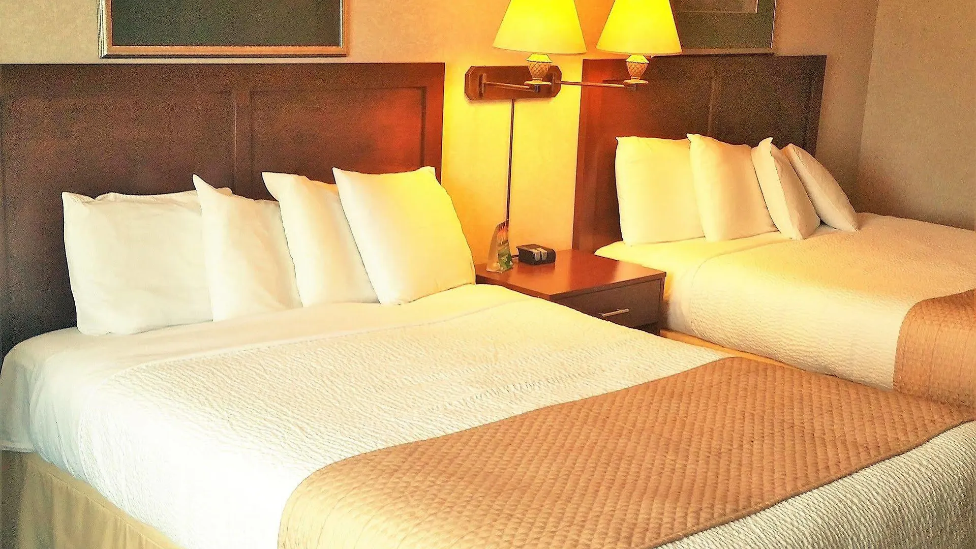 Hotel Days Inn By Wyndham Ottawa Airport