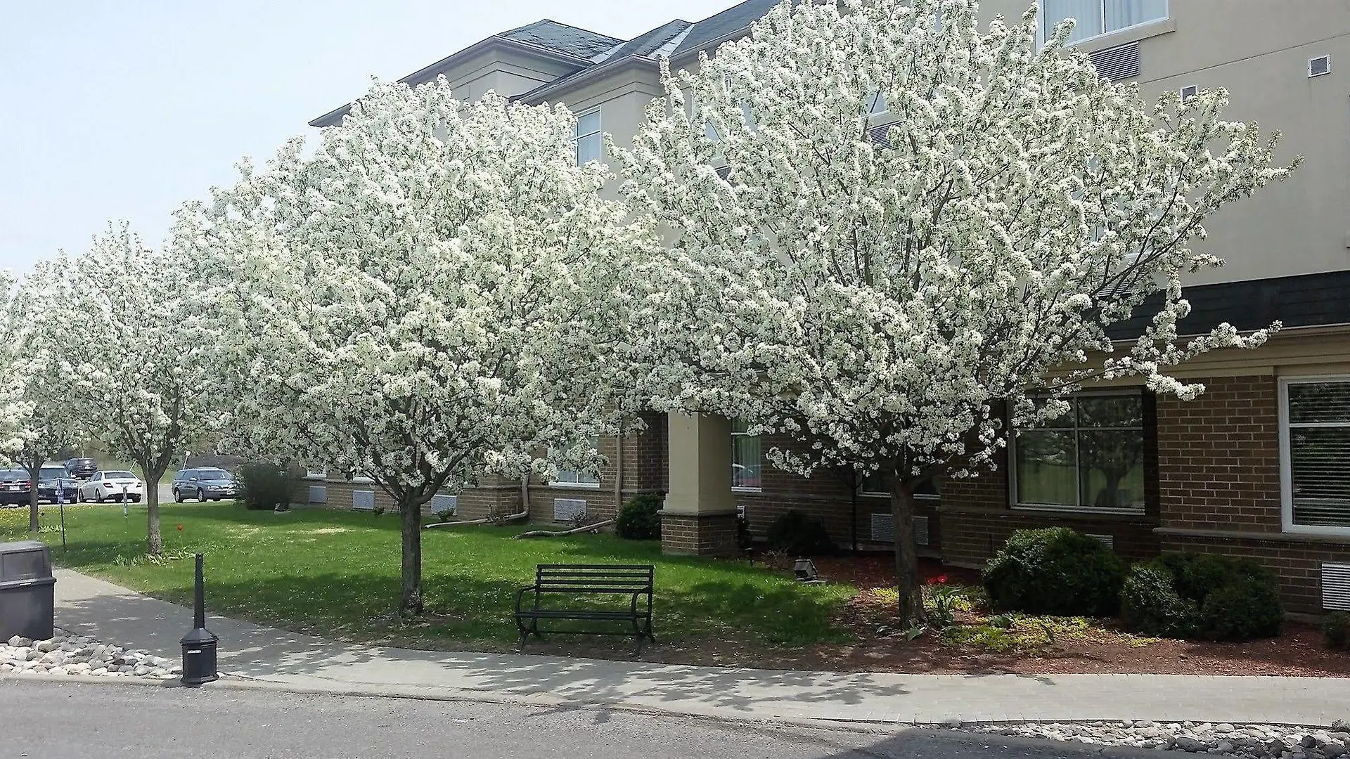 *** Hotel Days Inn By Wyndham Ottawa Airport Canadá
